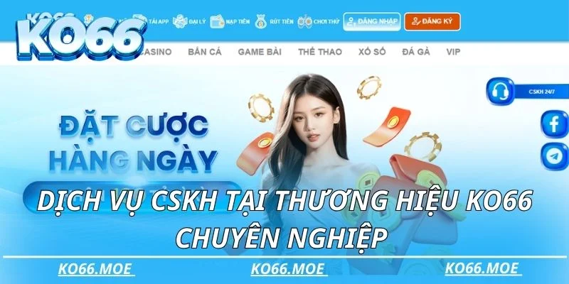 Dịch vụ CSKH tại thương hiệu KO66 chuyên nghiệp